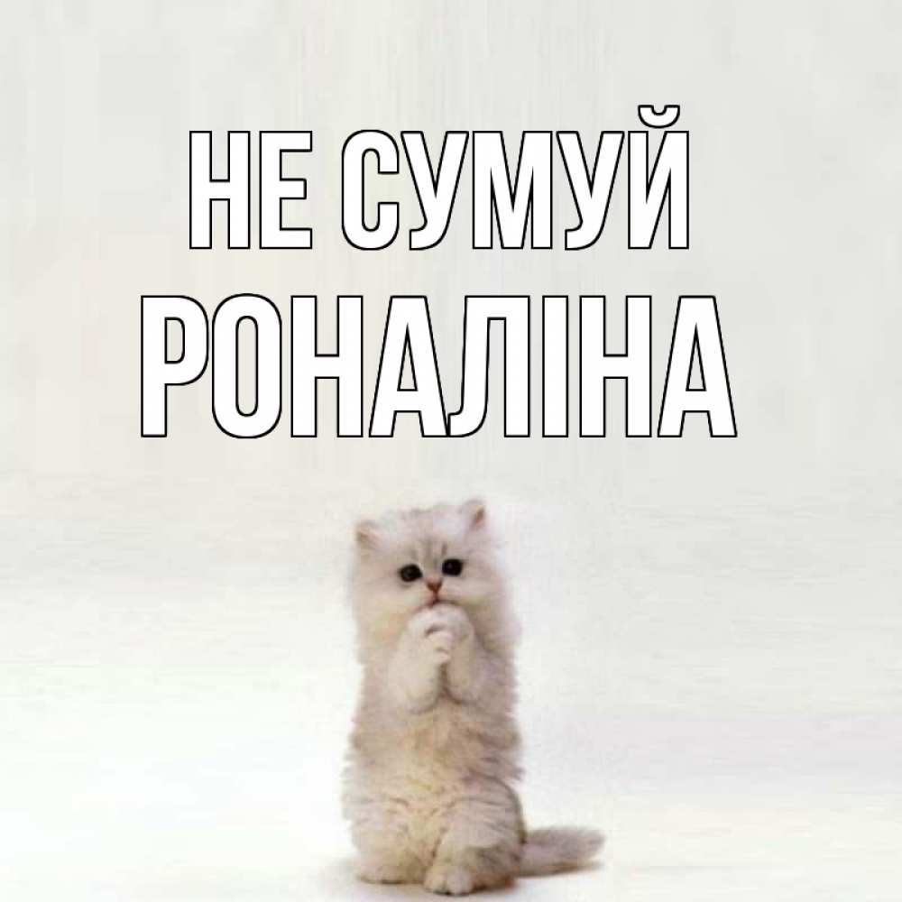 Открытка на каждый день з підписом, Роналіна Не сумуй грустный кот Прикольна листівка з побажанням онлайн скачати безкоштовно 
