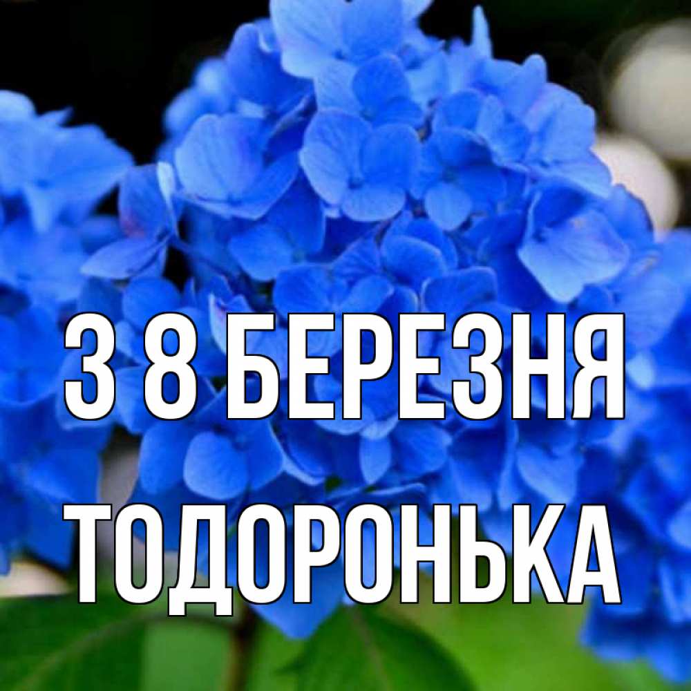 Открытка на каждый день з підписом, Тодоронька З 8 БЕРЕЗНЯ синие цветы Прикольна листівка з побажанням онлайн скачати безкоштовно 