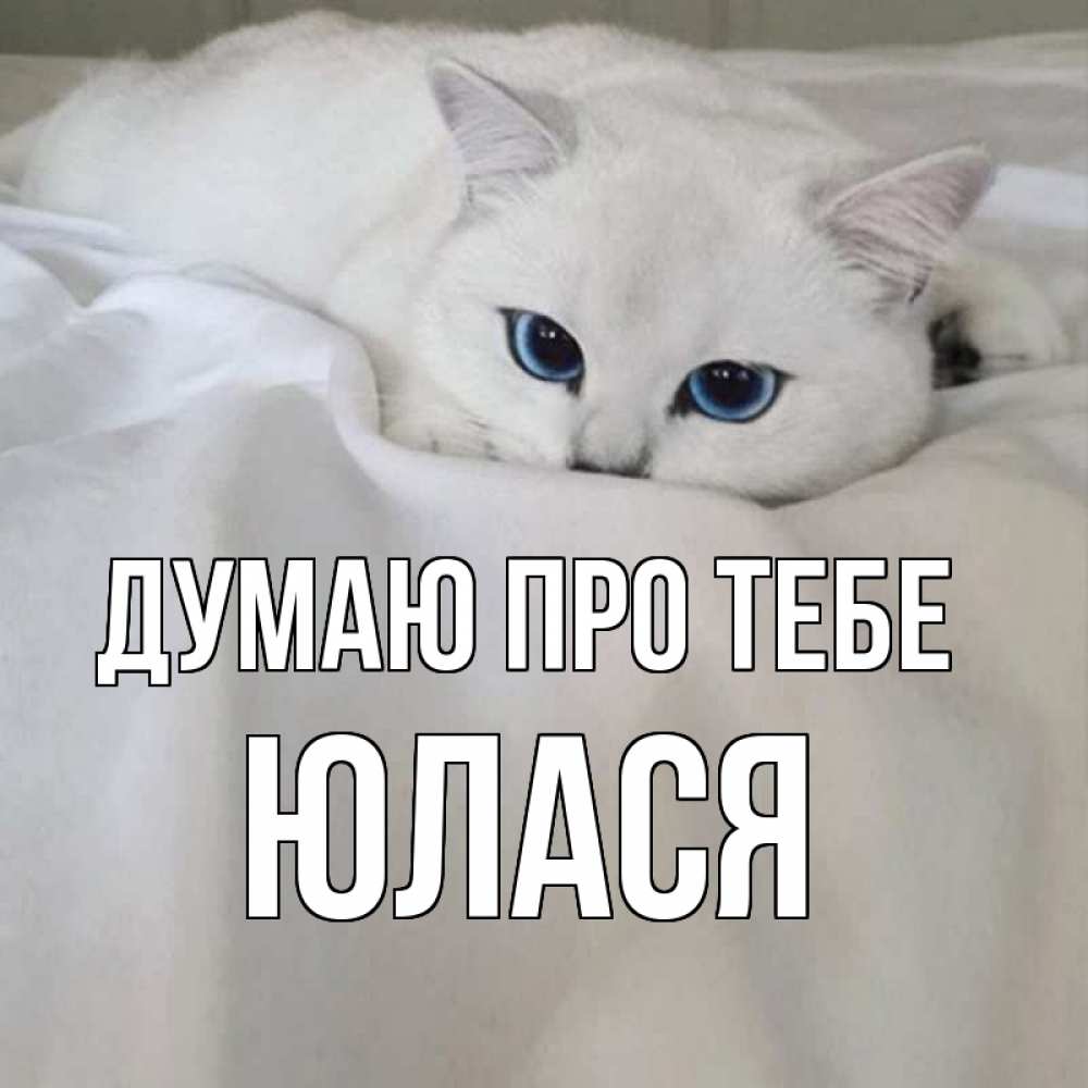 Открытка на каждый день з підписом, Юлася Думаю про тебе я очень по тебе скучаю и тоскую Прикольна листівка з побажанням онлайн скачати безкоштовно 
