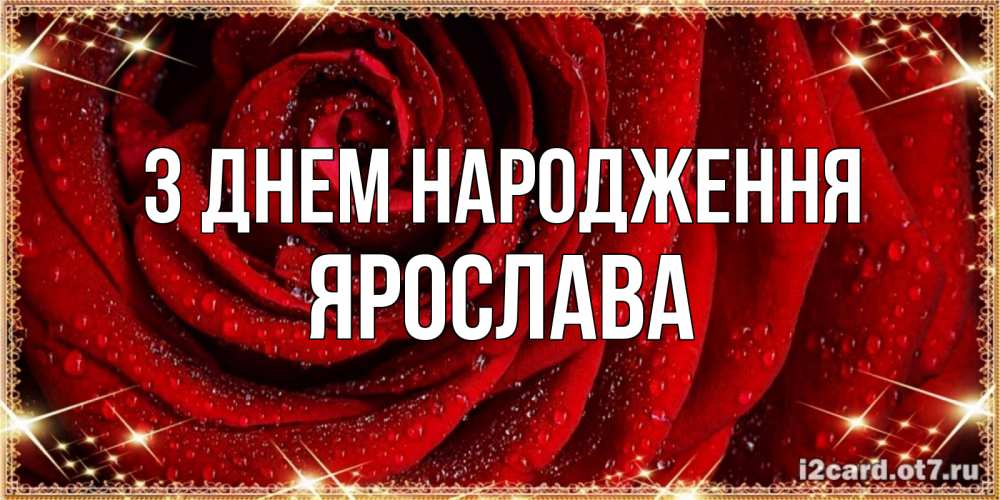 Открытка на каждый день з підписом, Ярослава З Днем народження роса на розе блестящая в лучах солнца Прикольна листівка з побажанням онлайн скачати безкоштовно 