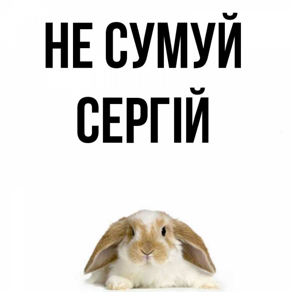 Открытка на каждый день з підписом, Сергій Не сумуй коричнево белый заяц с большими ушками Прикольна листівка з побажанням онлайн скачати безкоштовно 