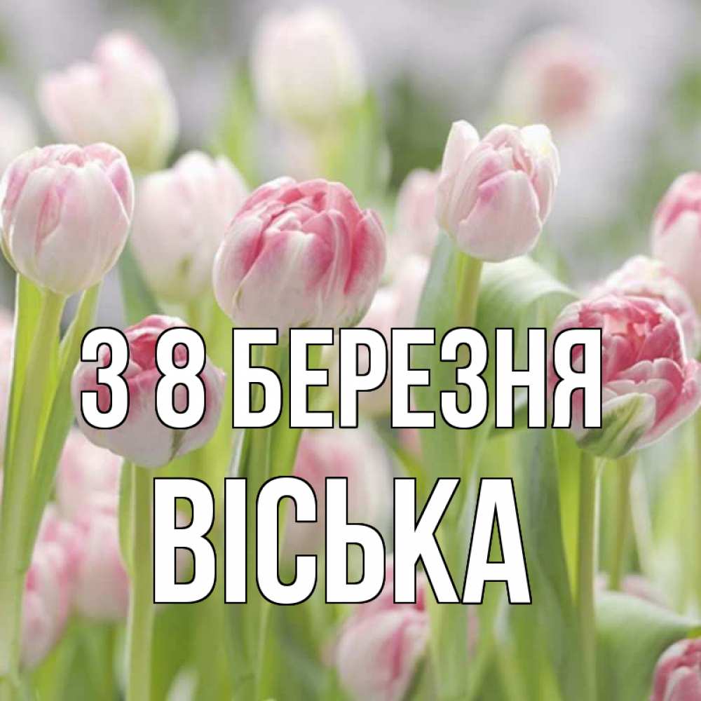 Открытка на каждый день з підписом, Віська З 8 БЕРЕЗНЯ цветы Прикольна листівка з побажанням онлайн скачати безкоштовно 