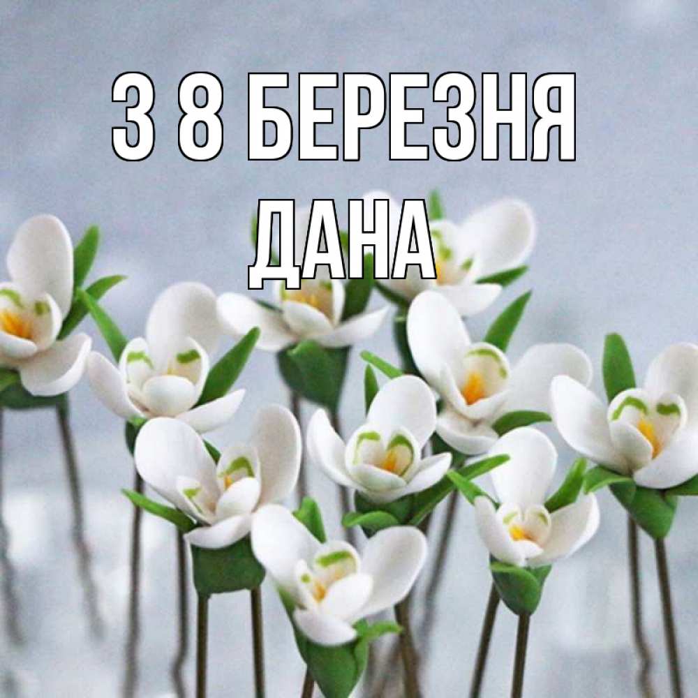 Открытка на каждый день з підписом, Дана З 8 БЕРЕЗНЯ весенние цветы Прикольна листівка з побажанням онлайн скачати безкоштовно 