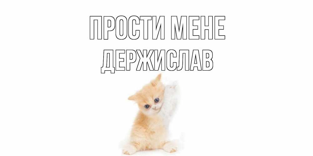 Открытка на каждый день з підписом, Держислав Прости мене кот Прикольна листівка з побажанням онлайн скачати безкоштовно 