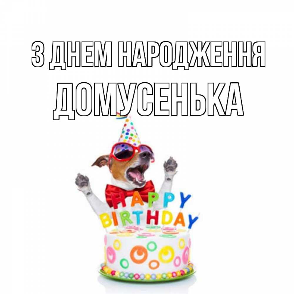 Открытка на каждый день з підписом, Домусенька З Днем народження тортик Прикольна листівка з побажанням онлайн скачати безкоштовно 