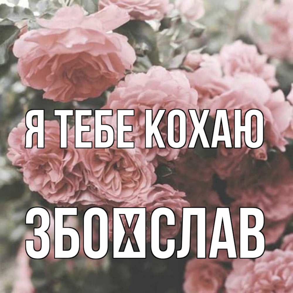 Открытка на каждый день з підписом, Збоїслав Я тебе кохаю розы 3 Прикольна листівка з побажанням онлайн скачати безкоштовно 