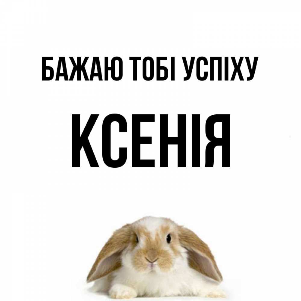 Открытка на каждый день з підписом, Ксенія Бажаю тобі успіху открытки с произвольным текстом который можно вставить в открытку и создать ее самостоятельно бесплатно онлайн Прикольна листівка з побажанням онлайн скачати безкоштовно 