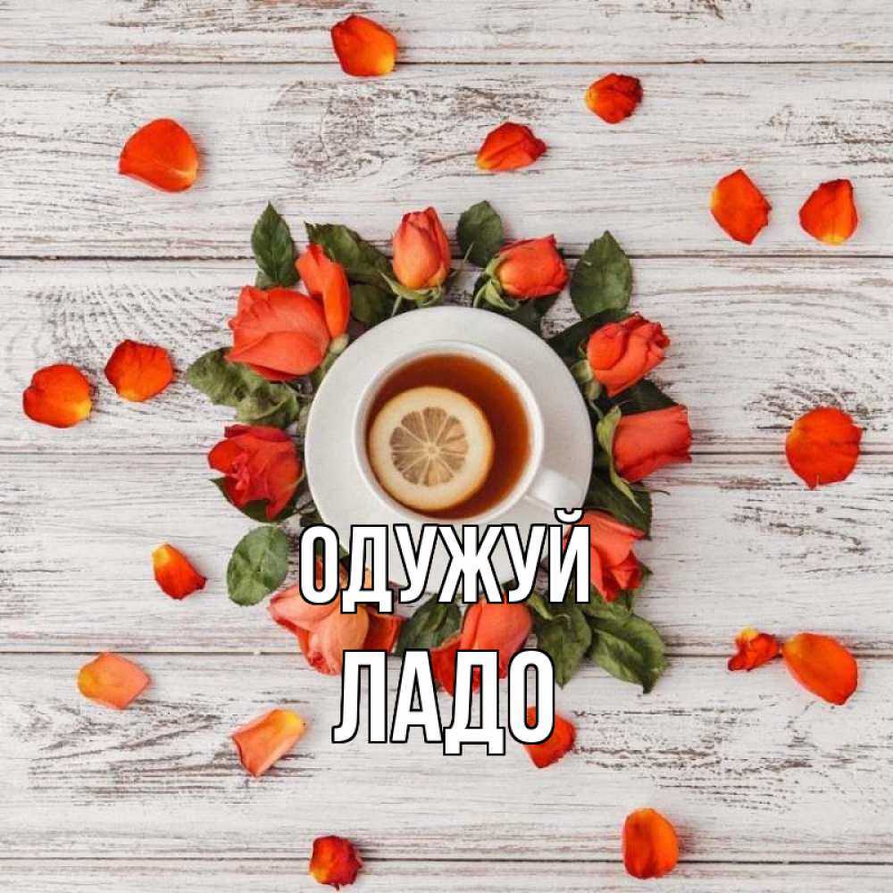 Открытка на каждый день з підписом, Ладо Одужуй фон из досок Прикольна листівка з побажанням онлайн скачати безкоштовно 