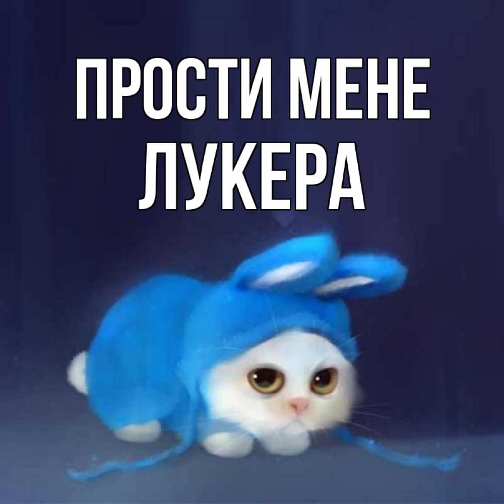 Открытка на каждый день з підписом, Лукера Прости мене невинный котозай просит прощения Прикольна листівка з побажанням онлайн скачати безкоштовно 