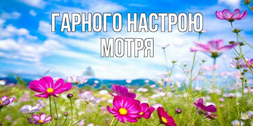 Открытка на каждый день з підписом, Мотря Гарного настрою поле цветов Прикольна листівка з побажанням онлайн скачати безкоштовно 