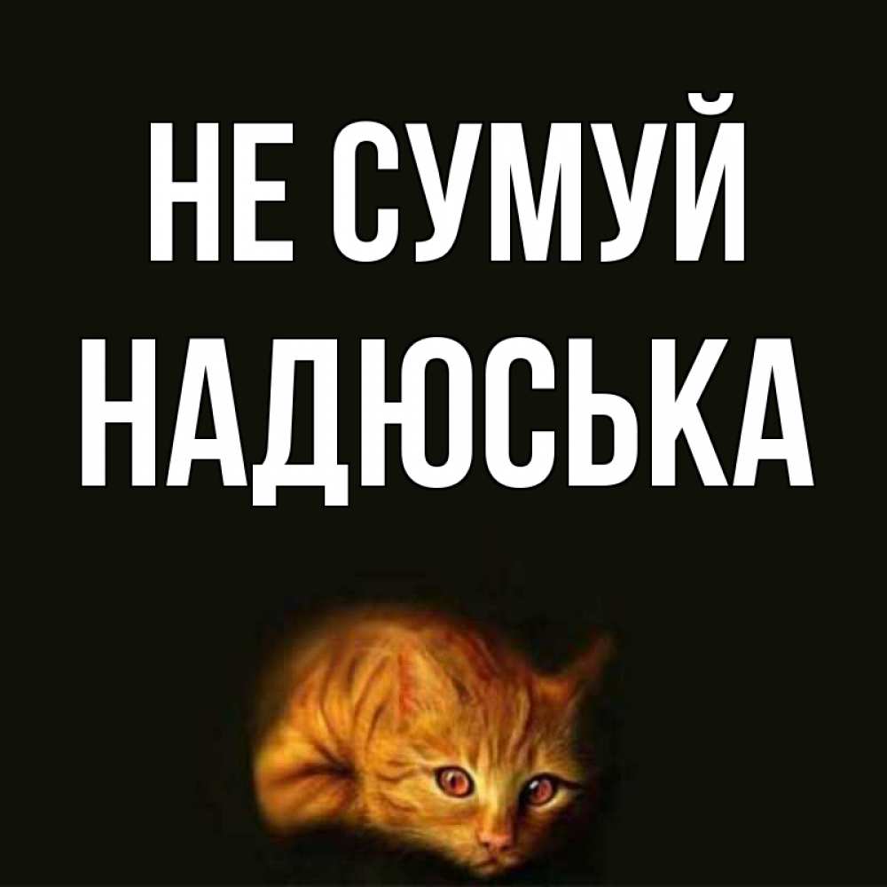 Открытка на каждый день з підписом, Надюська Не сумуй лежащий кот в темноте Прикольна листівка з побажанням онлайн скачати безкоштовно 