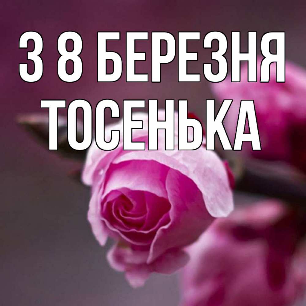 Открытка на каждый день з підписом, Тосенька З 8 БЕРЕЗНЯ весна Прикольна листівка з побажанням онлайн скачати безкоштовно 