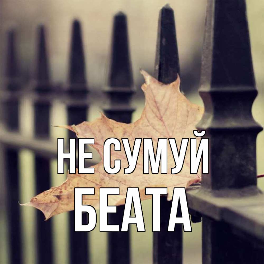 Открытка на каждый день з підписом, Беата Не сумуй лист клена Прикольна листівка з побажанням онлайн скачати безкоштовно 