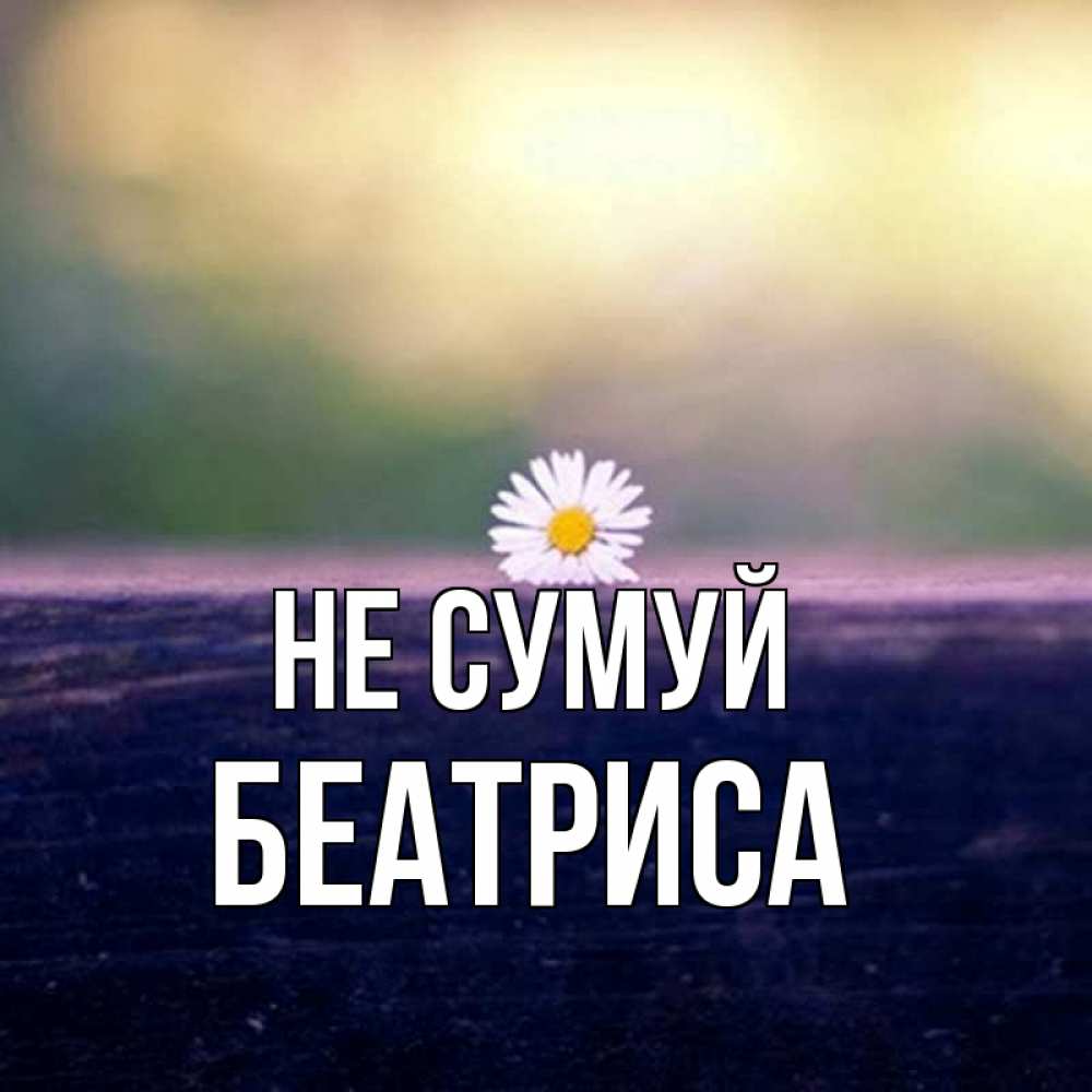 Открытка на каждый день з підписом, Беатриса Не сумуй красота Прикольна листівка з побажанням онлайн скачати безкоштовно 