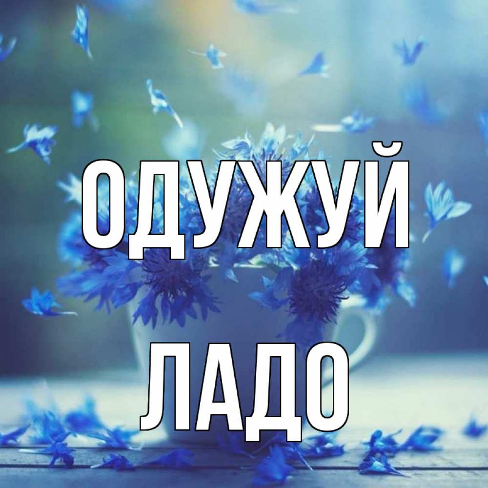 Открытка на каждый день з підписом, Ладо Одужуй кружка с зельем и цветами Прикольна листівка з побажанням онлайн скачати безкоштовно 