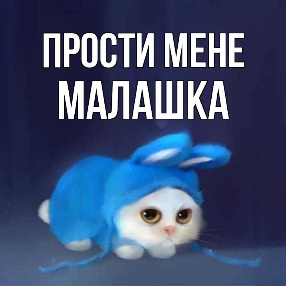 Открытка на каждый день з підписом, Малашка Прости мене невинный котозай просит прощения Прикольна листівка з побажанням онлайн скачати безкоштовно 