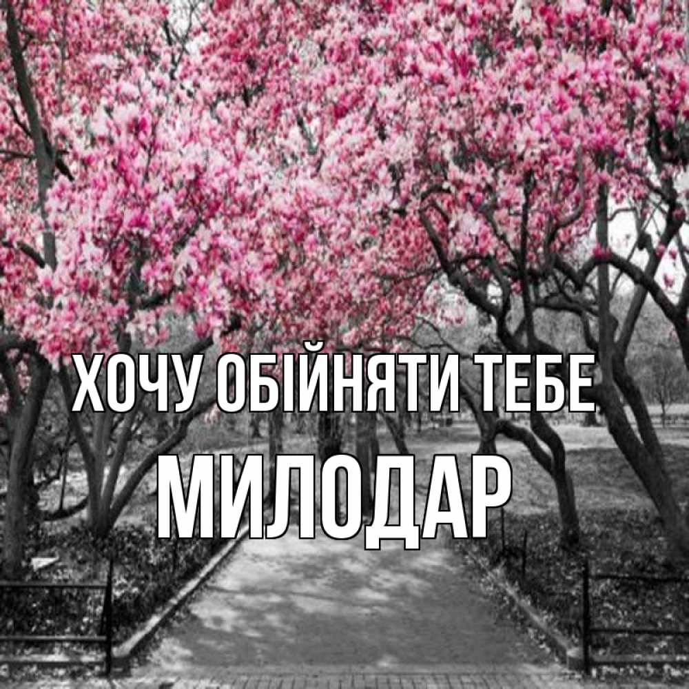 Открытка на каждый день з підписом, Милодар Хочу обійняти тебе обработанное фото Прикольна листівка з побажанням онлайн скачати безкоштовно 
