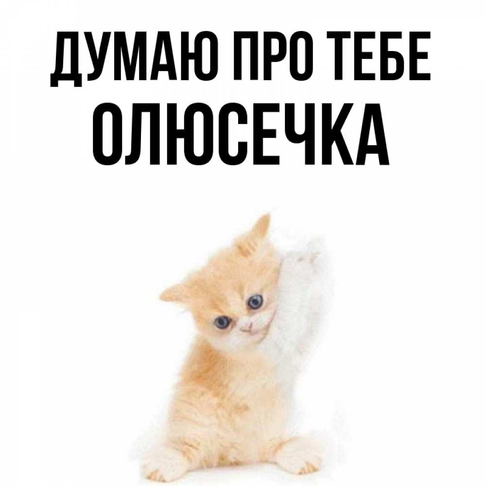 Открытка на каждый день з підписом, Олюсечка Думаю про тебе зверушки и милота Прикольна листівка з побажанням онлайн скачати безкоштовно 