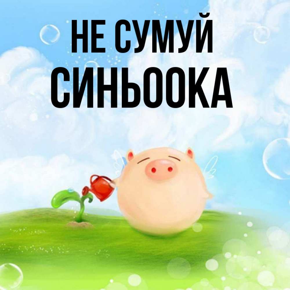 Открытка на каждый день з підписом, Синьоока Не сумуй поливает цветок порося Прикольна листівка з побажанням онлайн скачати безкоштовно 