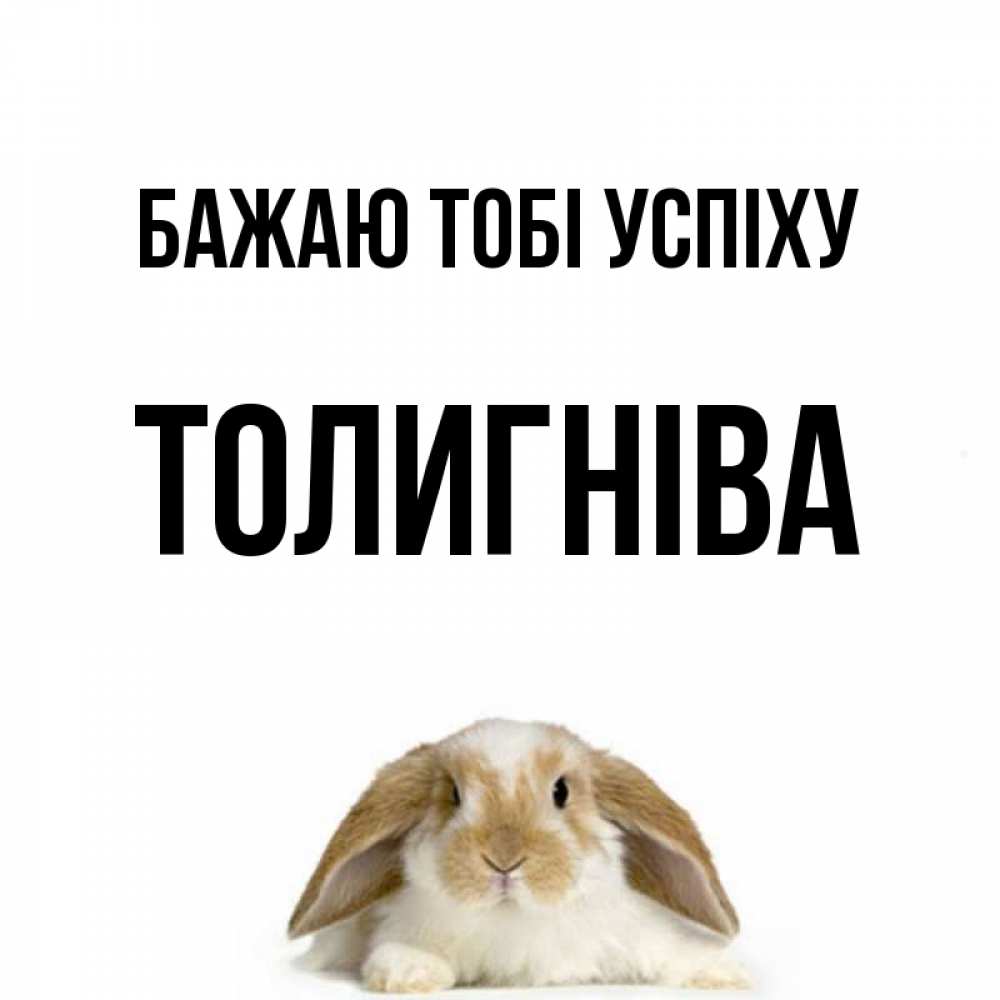 Открытка на каждый день з підписом, Толигніва Бажаю тобі успіху открытки с произвольным текстом который можно вставить в открытку и создать ее самостоятельно бесплатно онлайн Прикольна листівка з побажанням онлайн скачати безкоштовно 