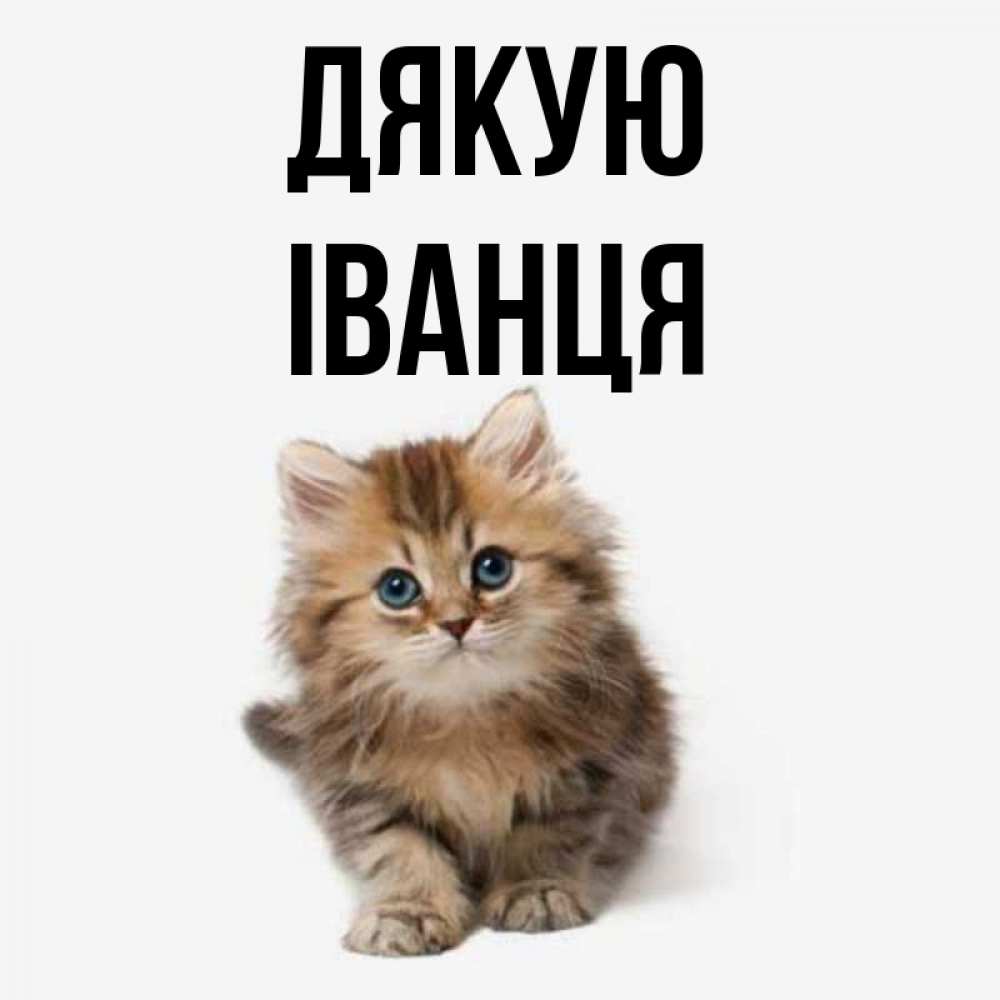 Открытка на каждый день з підписом, Іванця Дякую пушистый котик Прикольна листівка з побажанням онлайн скачати безкоштовно 
