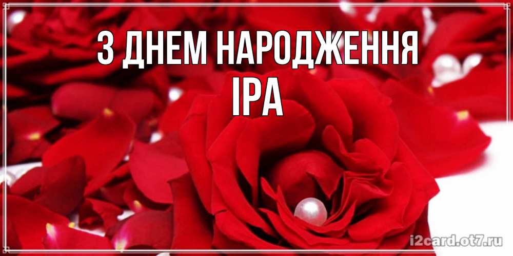 Открытка на каждый день з підписом, Іра З Днем народження роза с жемчужиной на открытке для любимых Прикольна листівка з побажанням онлайн скачати безкоштовно 