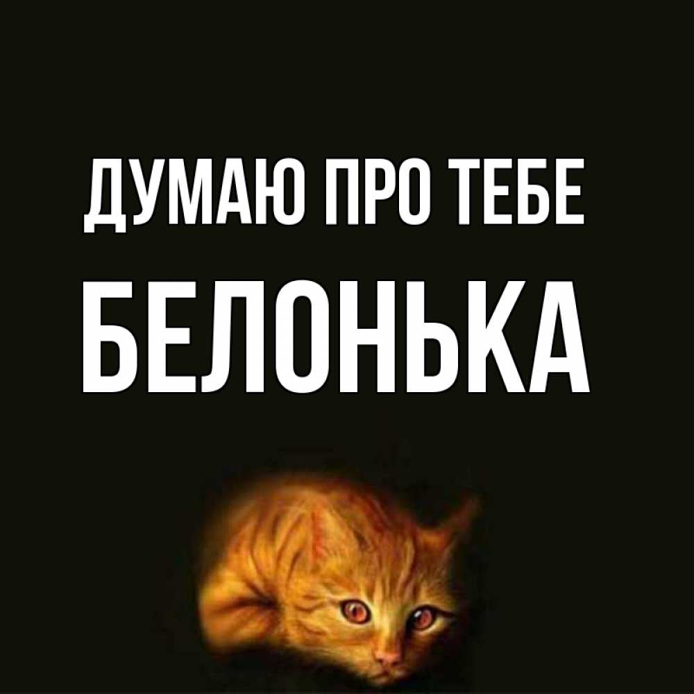 Открытка на каждый день з підписом, Белонька Думаю про тебе рыжий Прикольна листівка з побажанням онлайн скачати безкоштовно 