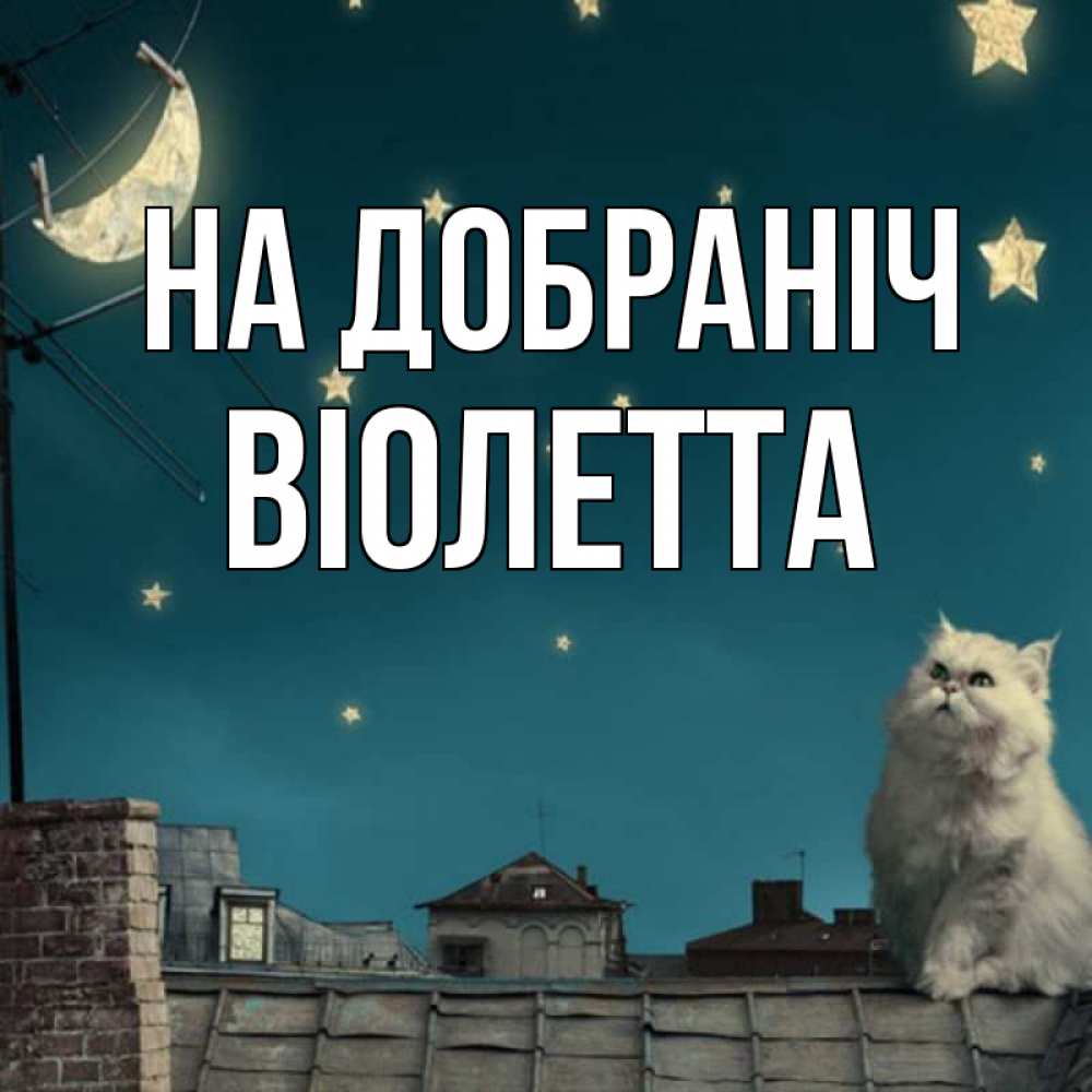 Открытка на каждый день з підписом, Віолетта На добраніч белый кот сидит на крыше Прикольна листівка з побажанням онлайн скачати безкоштовно 