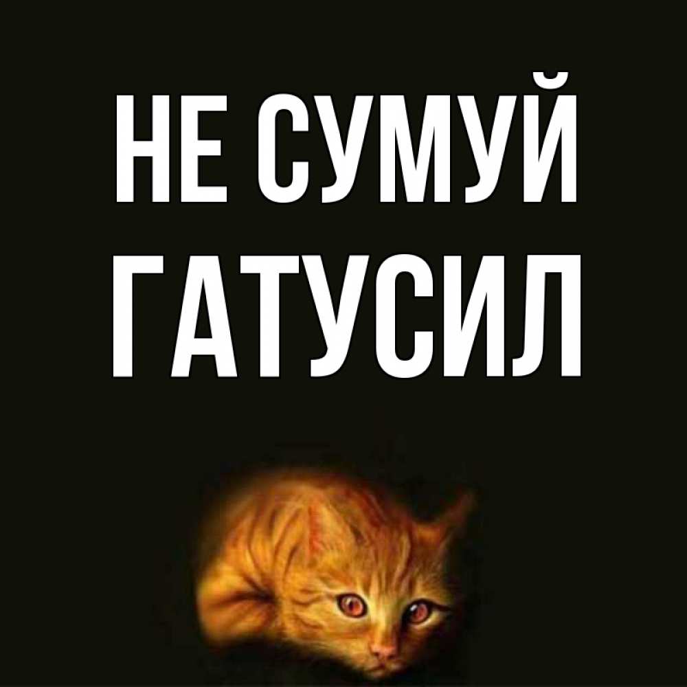Открытка на каждый день з підписом, Гатусил Не сумуй лежащий кот в темноте Прикольна листівка з побажанням онлайн скачати безкоштовно 