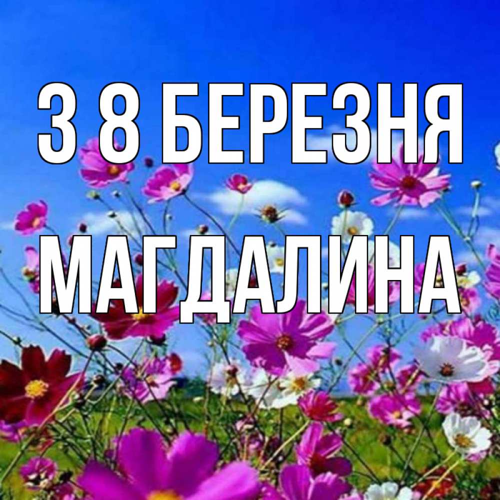 Открытка на каждый день з підписом, Магдалина З 8 БЕРЕЗНЯ цветы Прикольна листівка з побажанням онлайн скачати безкоштовно 