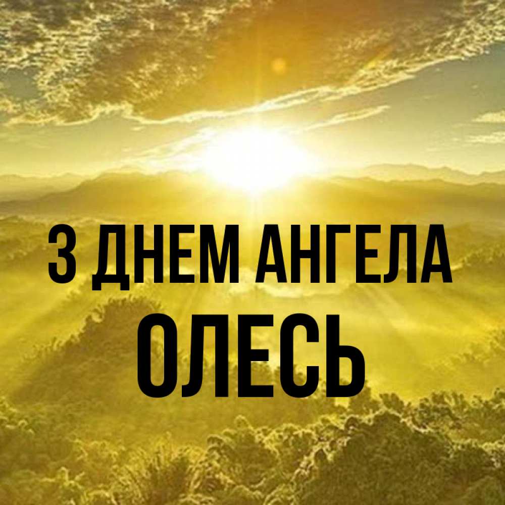 Открытка на каждый день з підписом, Олесь З Днем ангела леса и небо в желтом Прикольна листівка з побажанням онлайн скачати безкоштовно 