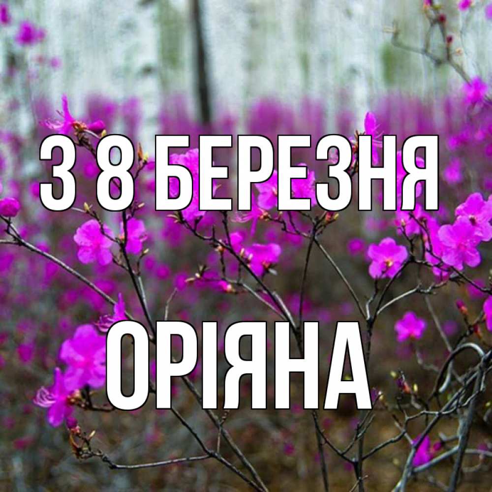 Открытка на каждый день з підписом, Оріяна З 8 БЕРЕЗНЯ дикие цветы Прикольна листівка з побажанням онлайн скачати безкоштовно 