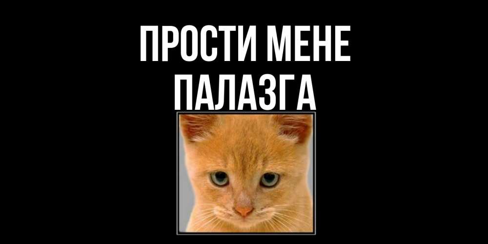 Открытка на каждый день з підписом, Палазга Прости мене рыжий грустный кот просит прощения Прикольна листівка з побажанням онлайн скачати безкоштовно 