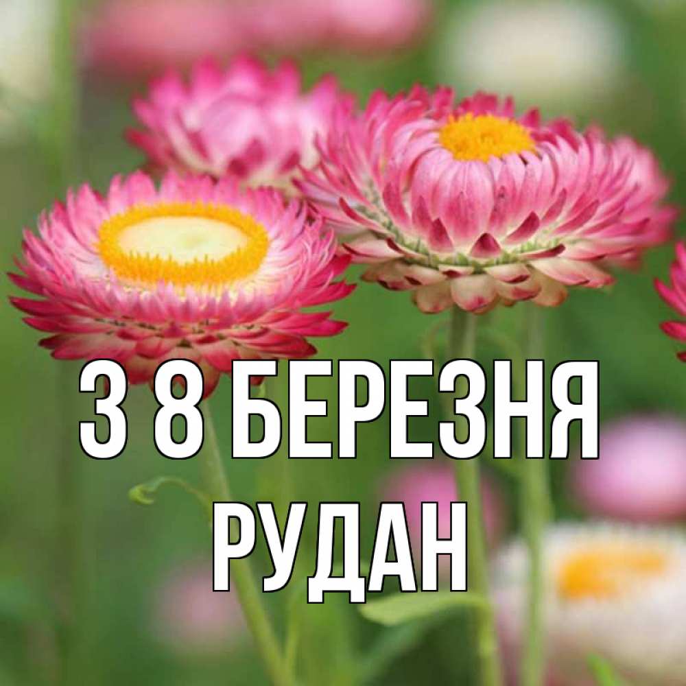 Открытка на каждый день з підписом, Рудан З 8 БЕРЕЗНЯ подарок на международный женский день Прикольна листівка з побажанням онлайн скачати безкоштовно 