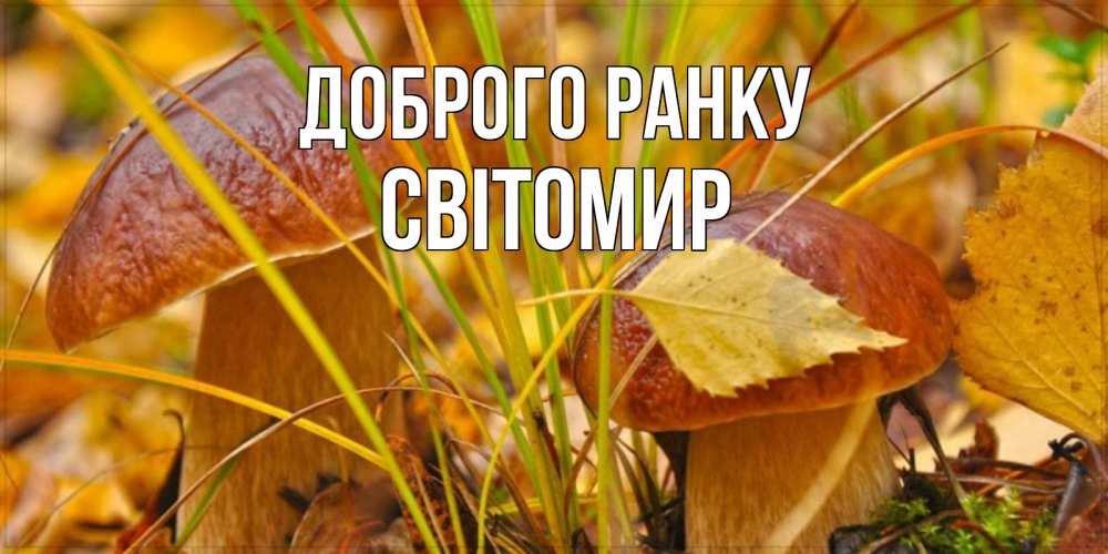 Открытка на каждый день з підписом, Світомир Доброго ранку осенние грибы Прикольна листівка з побажанням онлайн скачати безкоштовно 