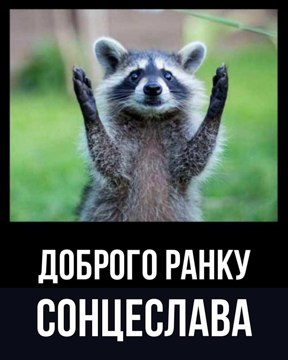 Открытка на каждый день з підписом, Сонцеслава Доброго ранку хорошее настроение утречком Прикольна листівка з побажанням онлайн скачати безкоштовно 