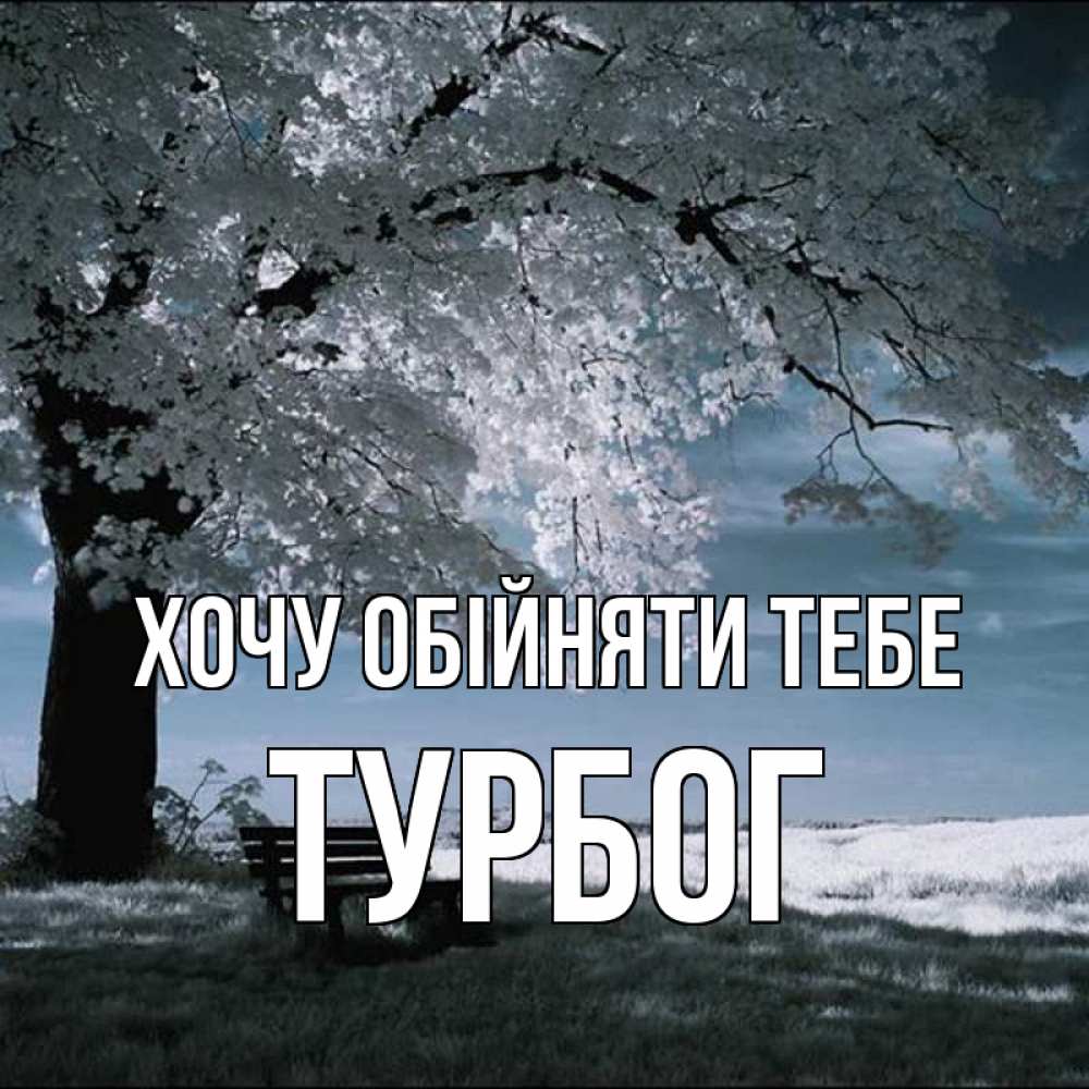 Открытка на каждый день з підписом, Турбог Хочу обійняти тебе дерево Прикольна листівка з побажанням онлайн скачати безкоштовно 