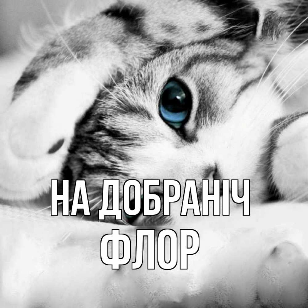 Открытка на каждый день з підписом, Флор На добраніч кот устал Прикольна листівка з побажанням онлайн скачати безкоштовно 
