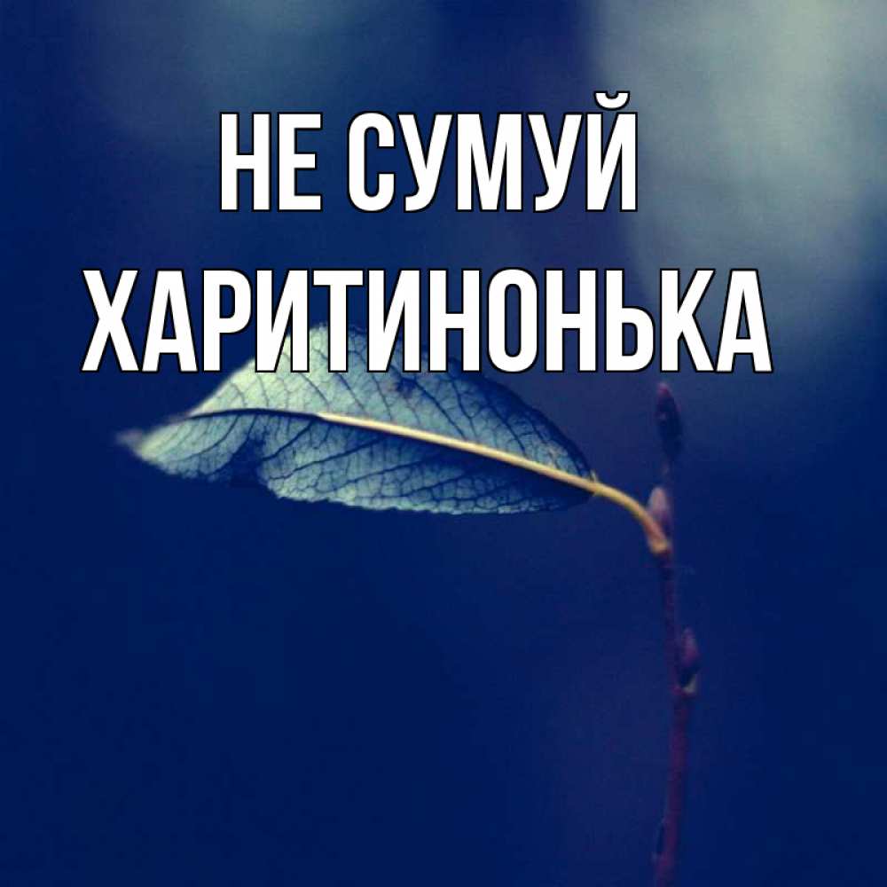 Открытка на каждый день з підписом, Харитинонька Не сумуй растение Прикольна листівка з побажанням онлайн скачати безкоштовно 