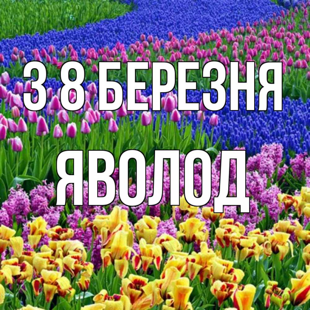 Открытка на каждый день з підписом, Яволод З 8 БЕРЕЗНЯ цветы Прикольна листівка з побажанням онлайн скачати безкоштовно 