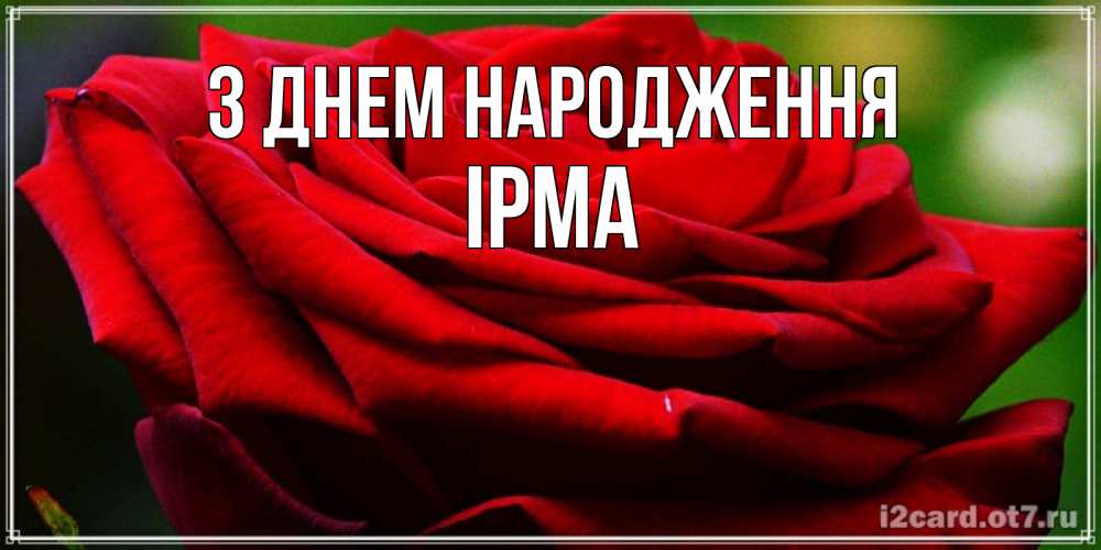 Открытка на каждый день з підписом, Ірма З Днем народження розочка очень красивая Прикольна листівка з побажанням онлайн скачати безкоштовно 