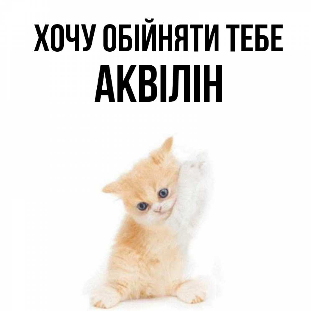 Открытка на каждый день з підписом, Аквілін Хочу обійняти тебе я хочу очень скорее обнимаешек Прикольна листівка з побажанням онлайн скачати безкоштовно 