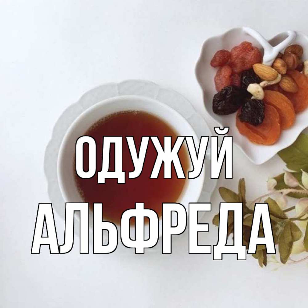 Открытка на каждый день з підписом, Альфреда Одужуй неизвестные растения Прикольна листівка з побажанням онлайн скачати безкоштовно 