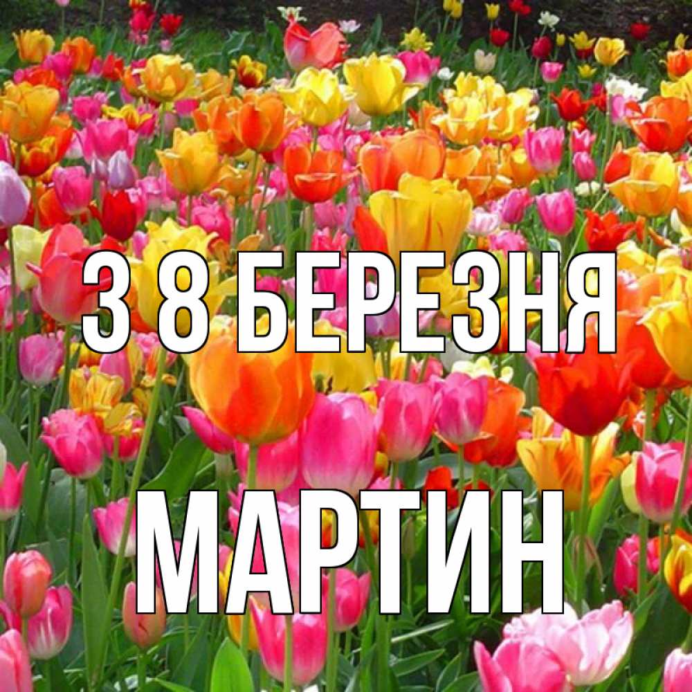 Открытка на каждый день з підписом, Мартин З 8 БЕРЕЗНЯ на международный женский день Прикольна листівка з побажанням онлайн скачати безкоштовно 