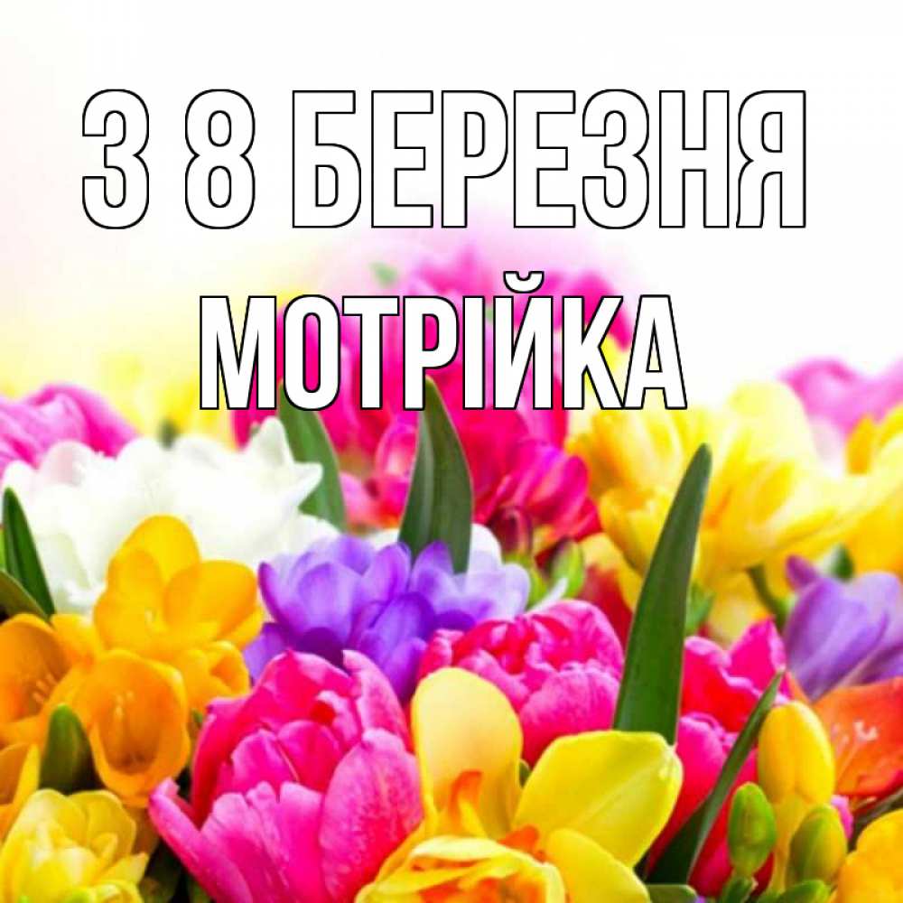 Открытка на каждый день з підписом, Мотрійка З 8 БЕРЕЗНЯ тюльпаны Прикольна листівка з побажанням онлайн скачати безкоштовно 