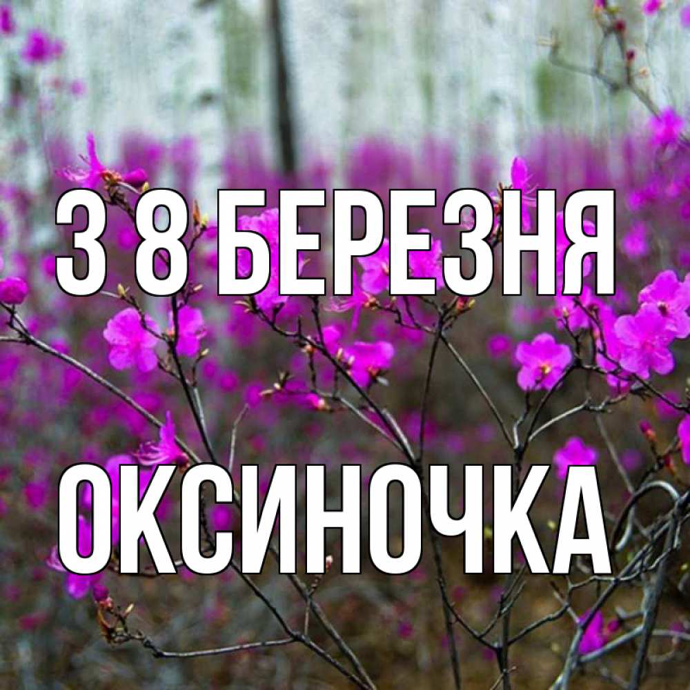 Открытка на каждый день з підписом, Оксиночка З 8 БЕРЕЗНЯ дикие цветы Прикольна листівка з побажанням онлайн скачати безкоштовно 