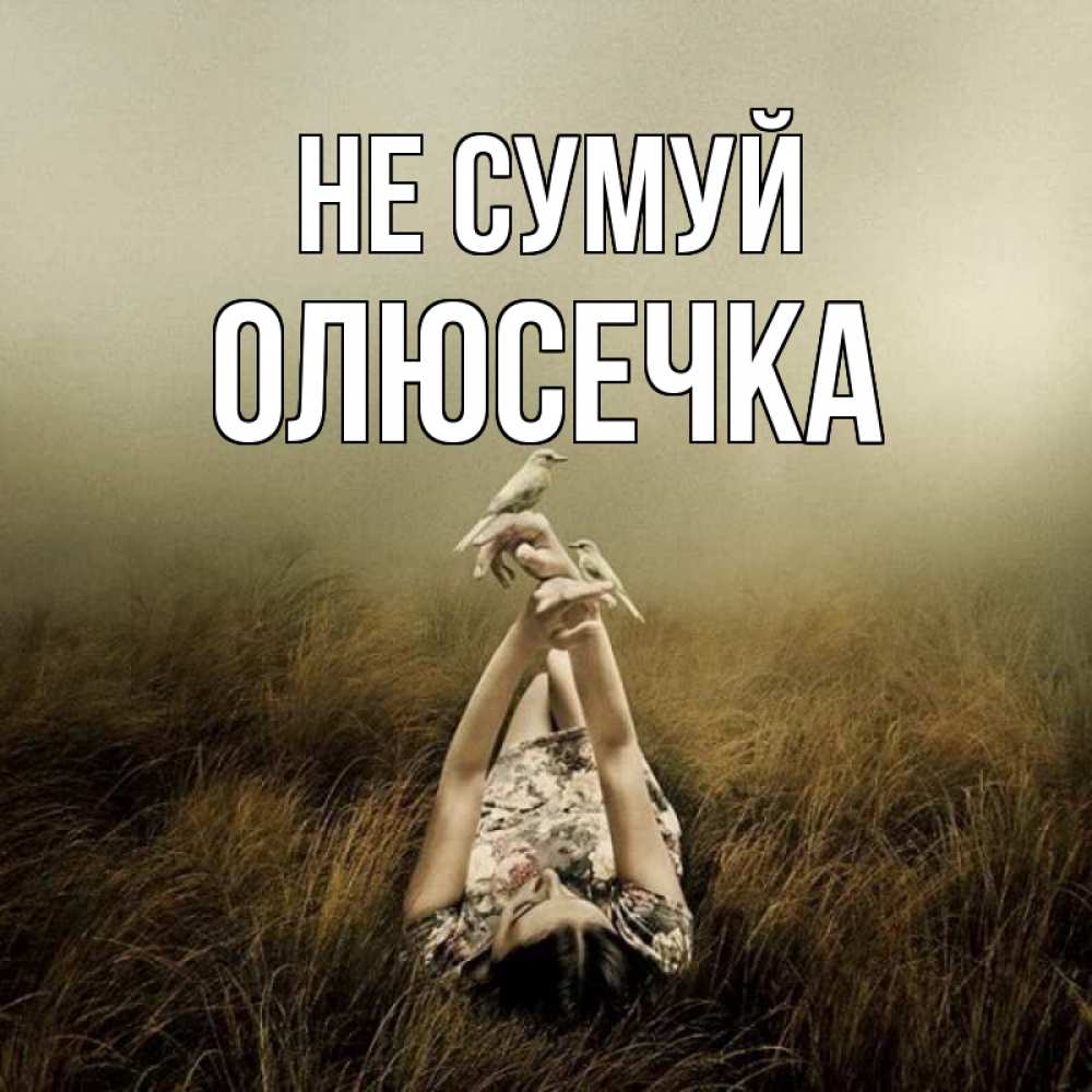 Открытка на каждый день з підписом, Олюсечка Не сумуй поле и туман Прикольна листівка з побажанням онлайн скачати безкоштовно 