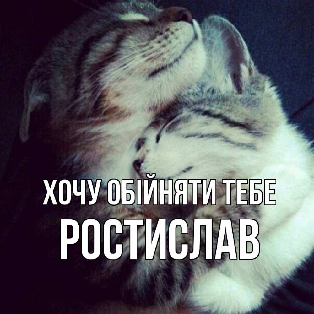 Открытка на каждый день з підписом, Ростислав Хочу обійняти тебе полосатики Прикольна листівка з побажанням онлайн скачати безкоштовно 