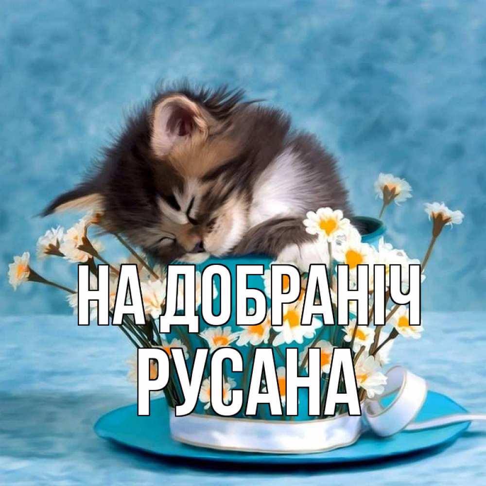 Открытка на каждый день з підписом, Русана На добраніч котенок спит в кружке с блюдцем Прикольна листівка з побажанням онлайн скачати безкоштовно 