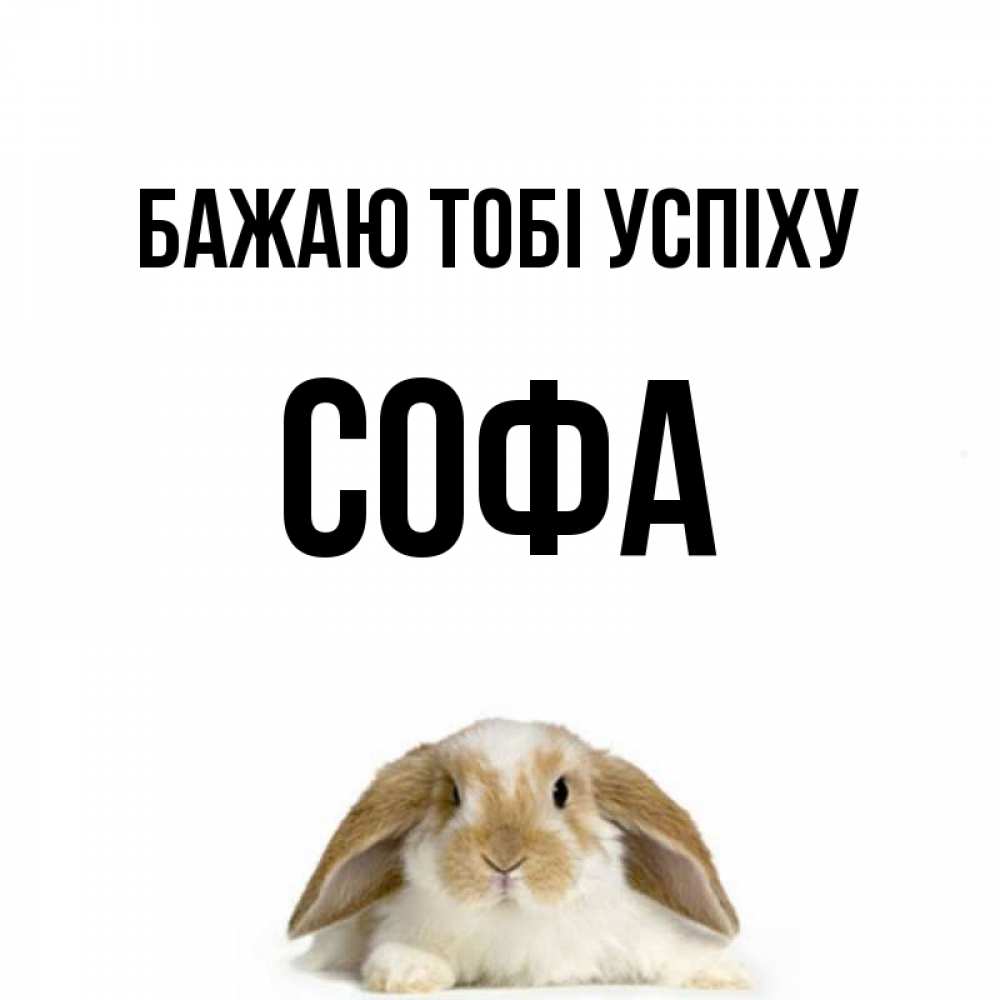 Открытка на каждый день з підписом, Софа Бажаю тобі успіху открытки с произвольным текстом который можно вставить в открытку и создать ее самостоятельно бесплатно онлайн Прикольна листівка з побажанням онлайн скачати безкоштовно 